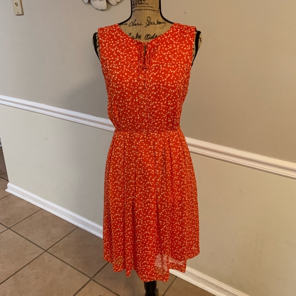 Anthropologie— Connect the dots